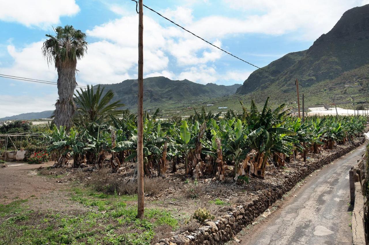 Casa El Cardon B2 Villa Buenavista Del Norte Eksteriør billede